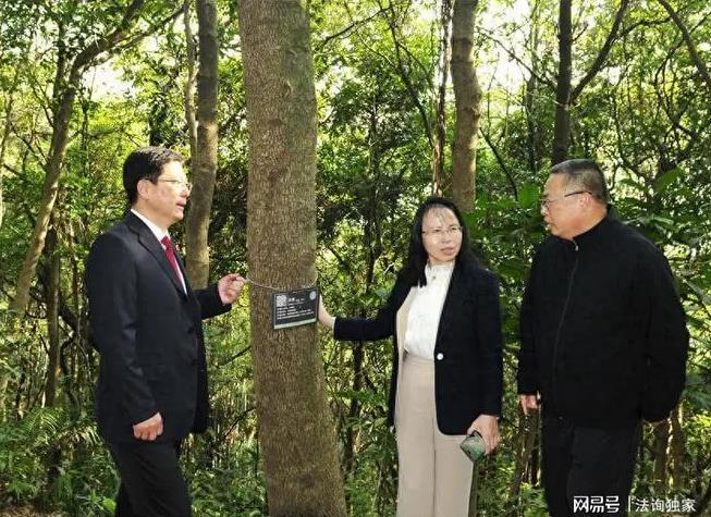 ȫ���˴�����Ͷ�ݸ�м�쳤��չѲ�ֹ�������������ע